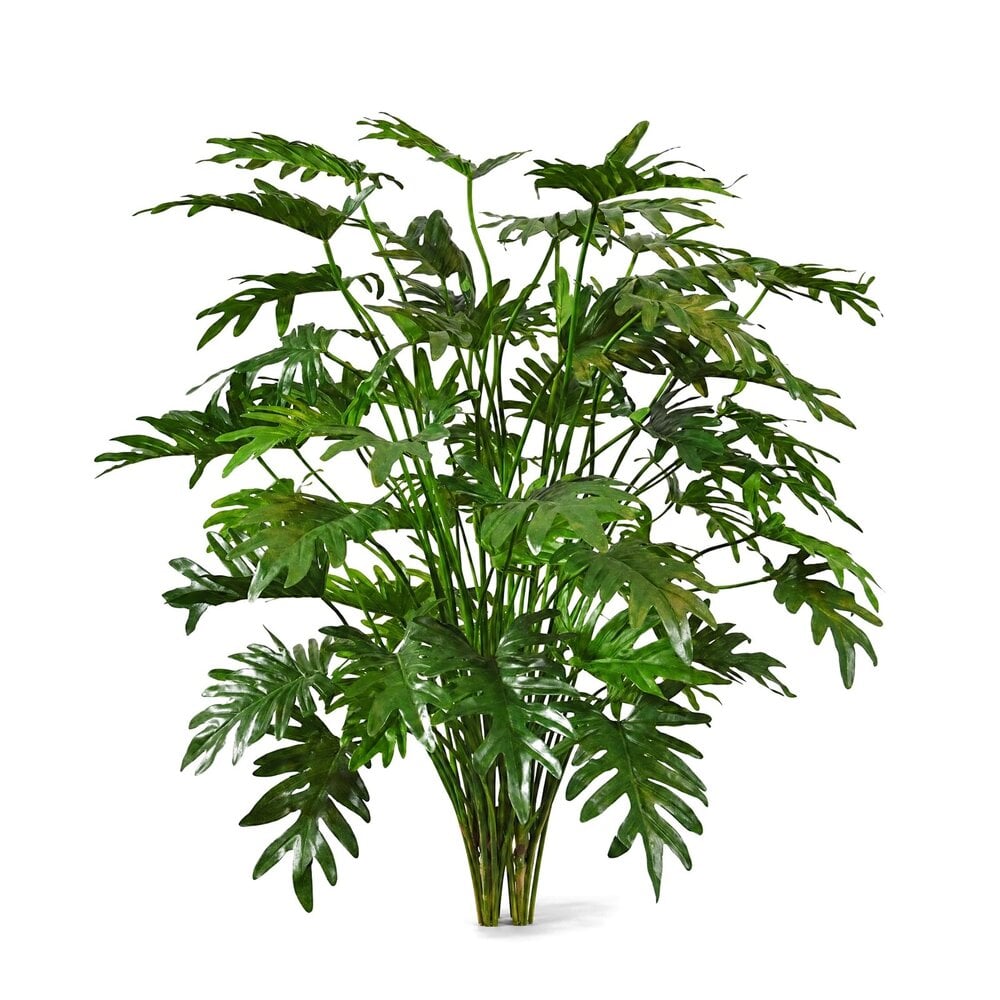 Coolplant Philodendron Xanadu kunstplant deluxe 110 cm