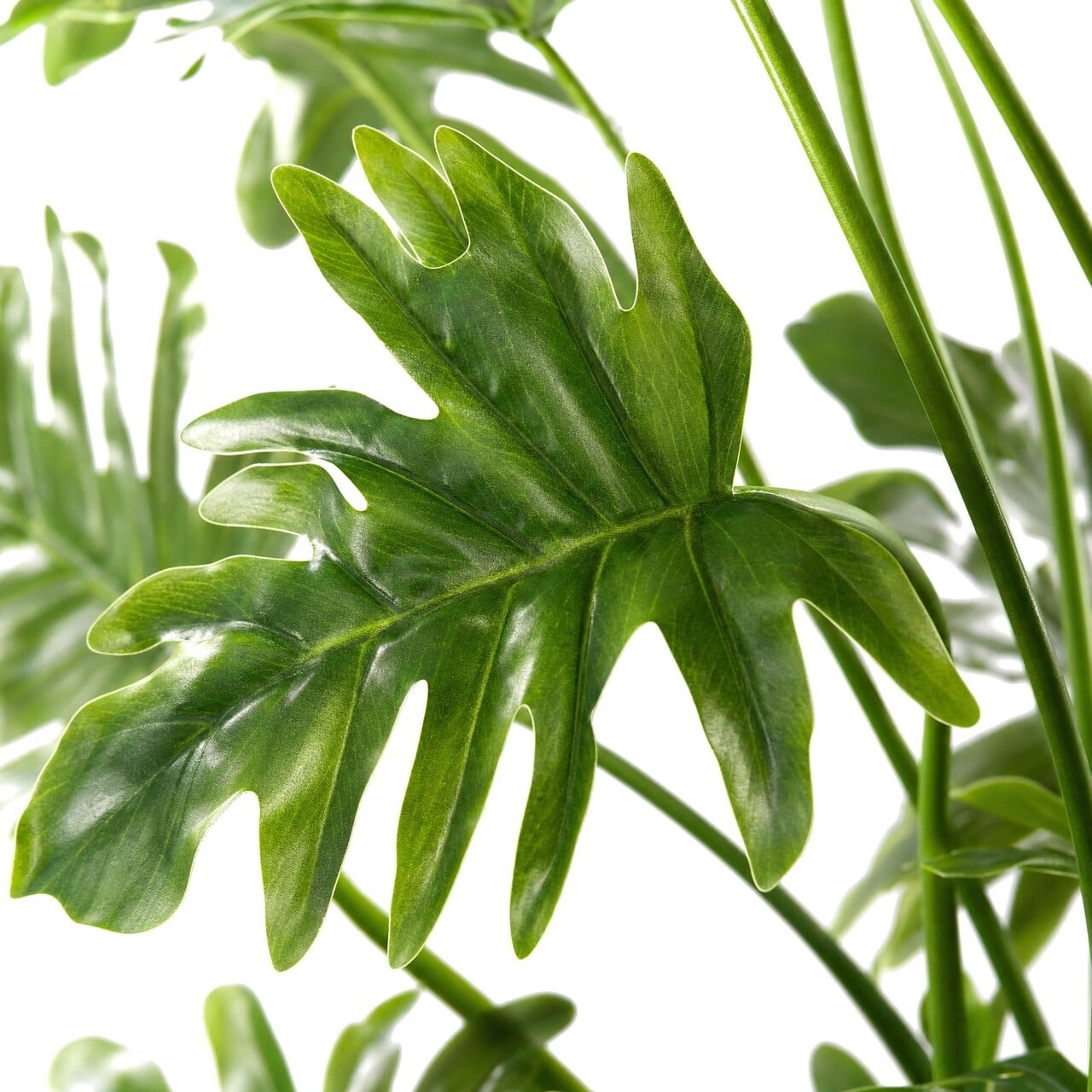 Philodendron Xanadu kunstplant deluxe 110 cm