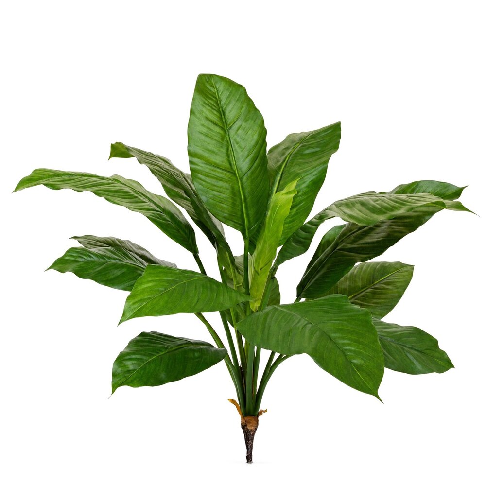 Coolplant Spathiphyllum kunstplant 80 cm