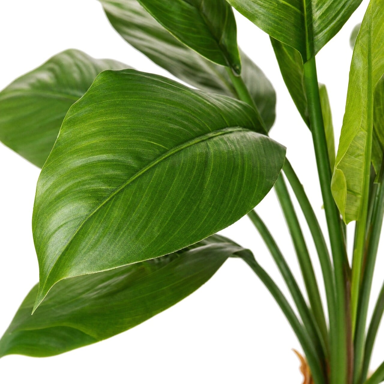 Spathiphyllum kunstplant 80 cm
