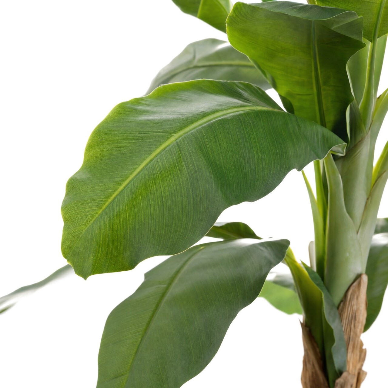 Bananen kunstboom 165 cm