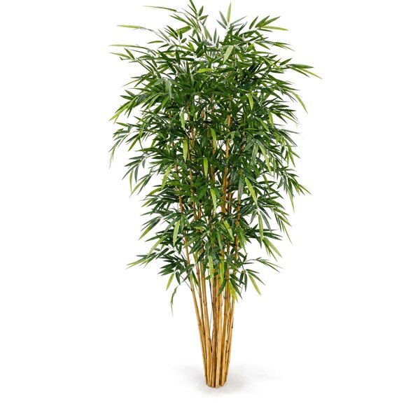 Coolplant Bamboe kunstplant deluxe 210 cm