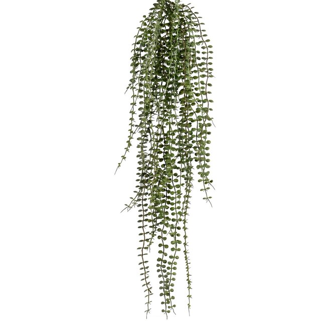 Coolplant Dischidia kunsthangplant grijsgroen 70 cm