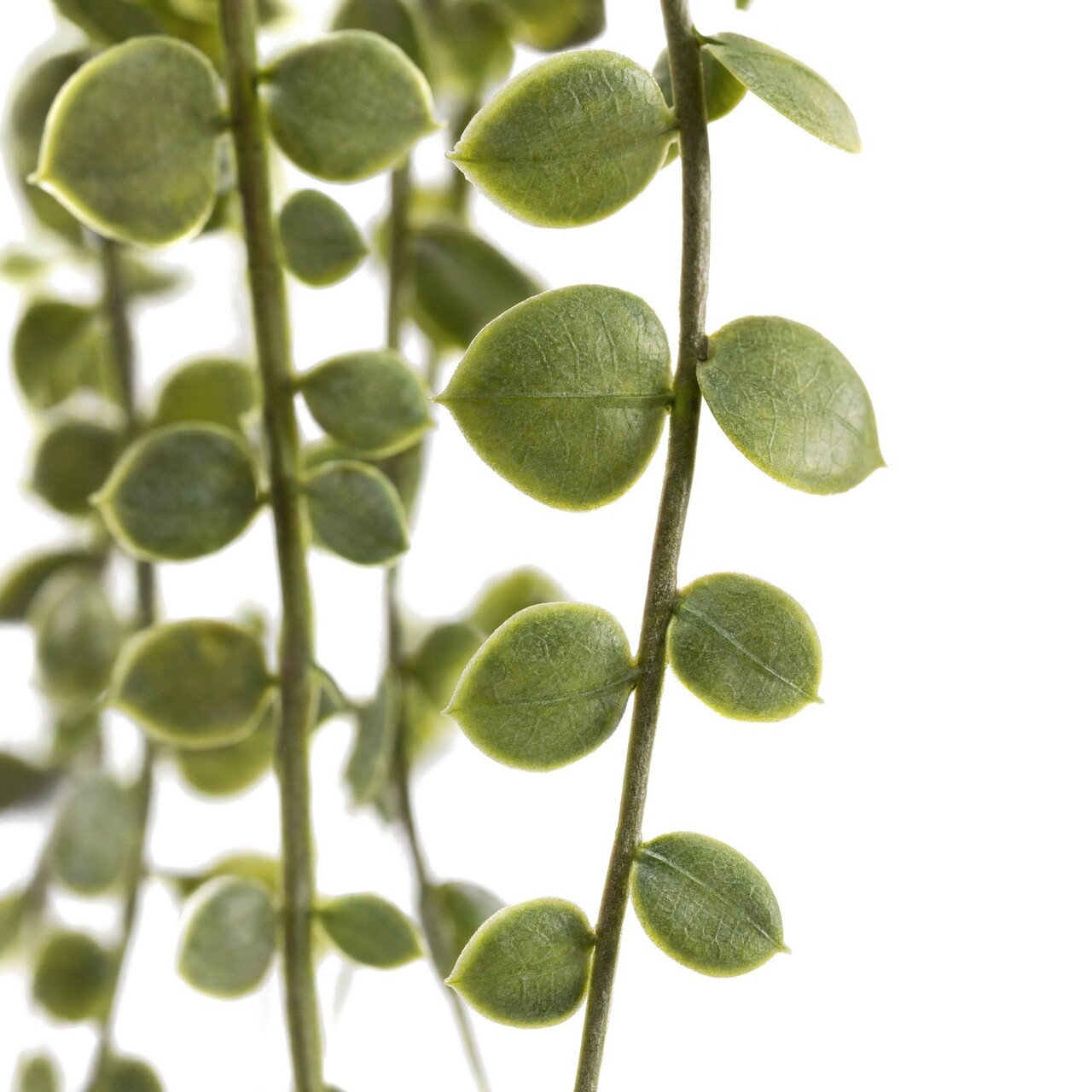 Dischidia kunsthangplant grijsgroen 70 cm