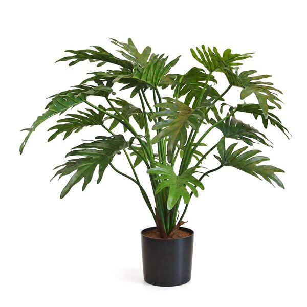 Coolplant Philodendron Xanadu kunstplant 65 cm
