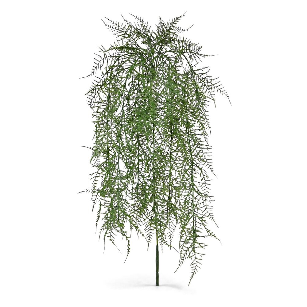 Coolplant Asparagus kunsthangplant 60 cm
