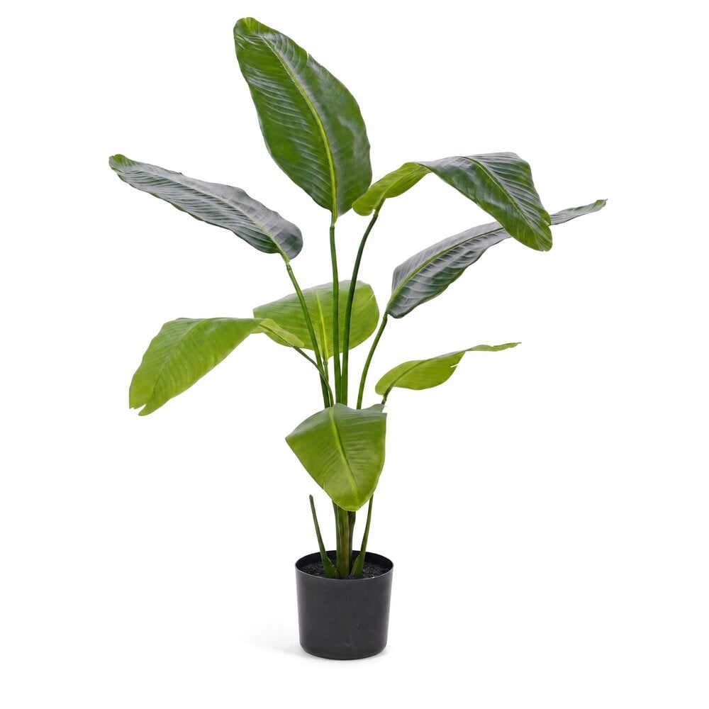 Coolplant Strelitzia kunstplant 120 cm
