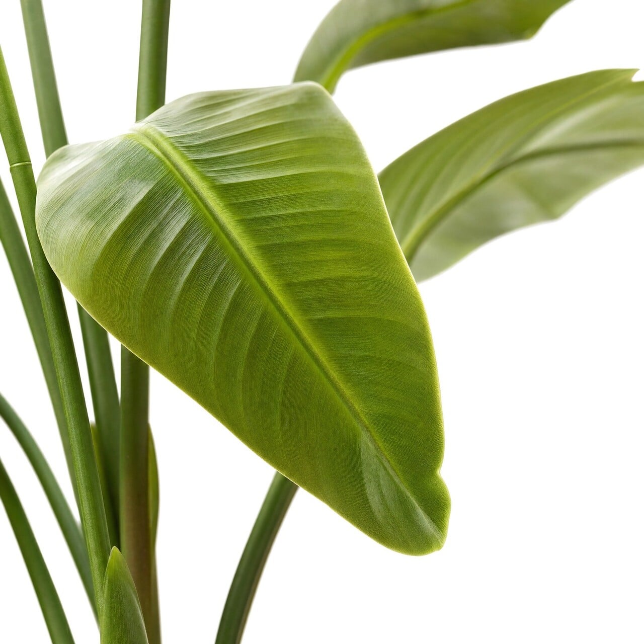 Strelitzia kunstplant 120 cm