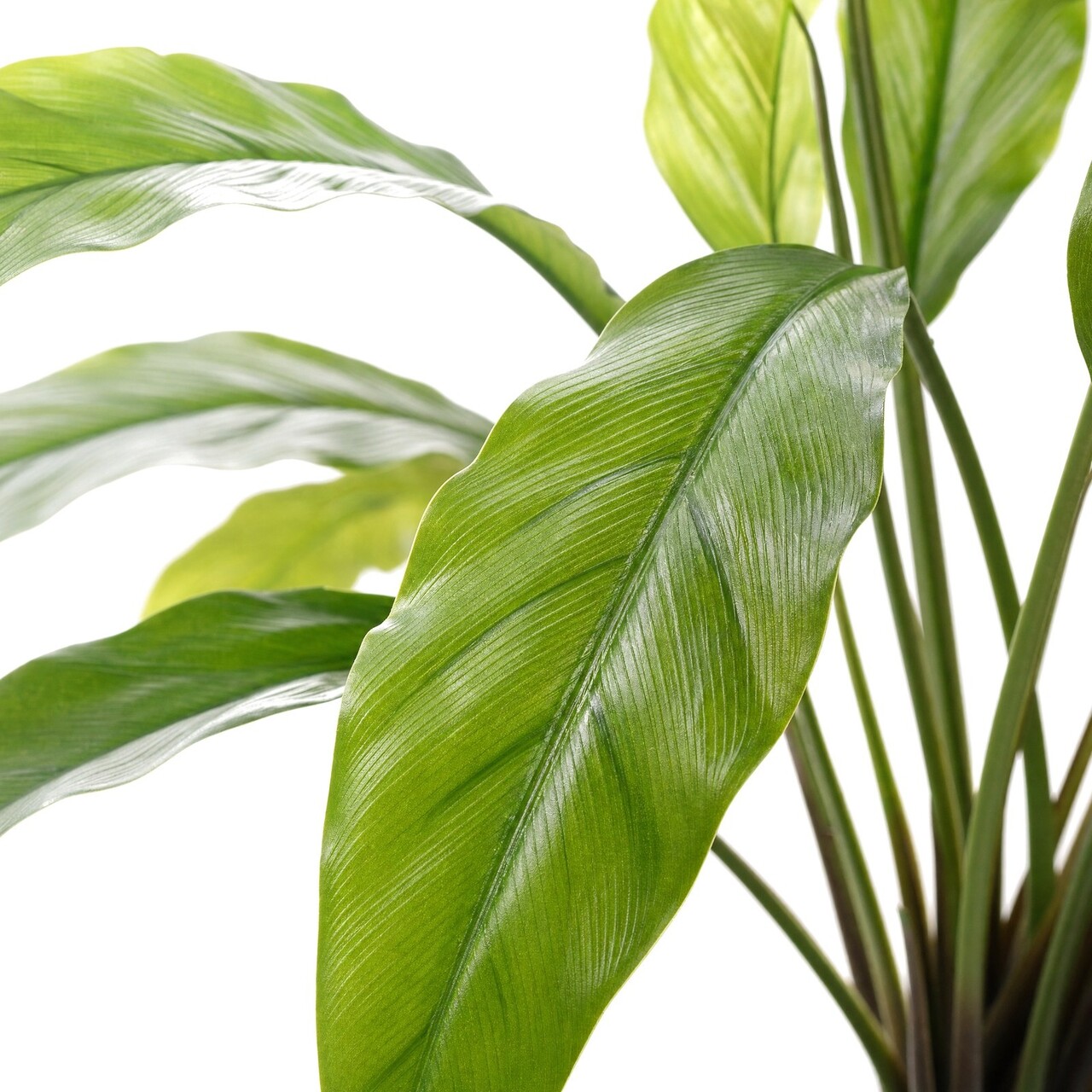 Calathea kunstboeket groen 75 cm