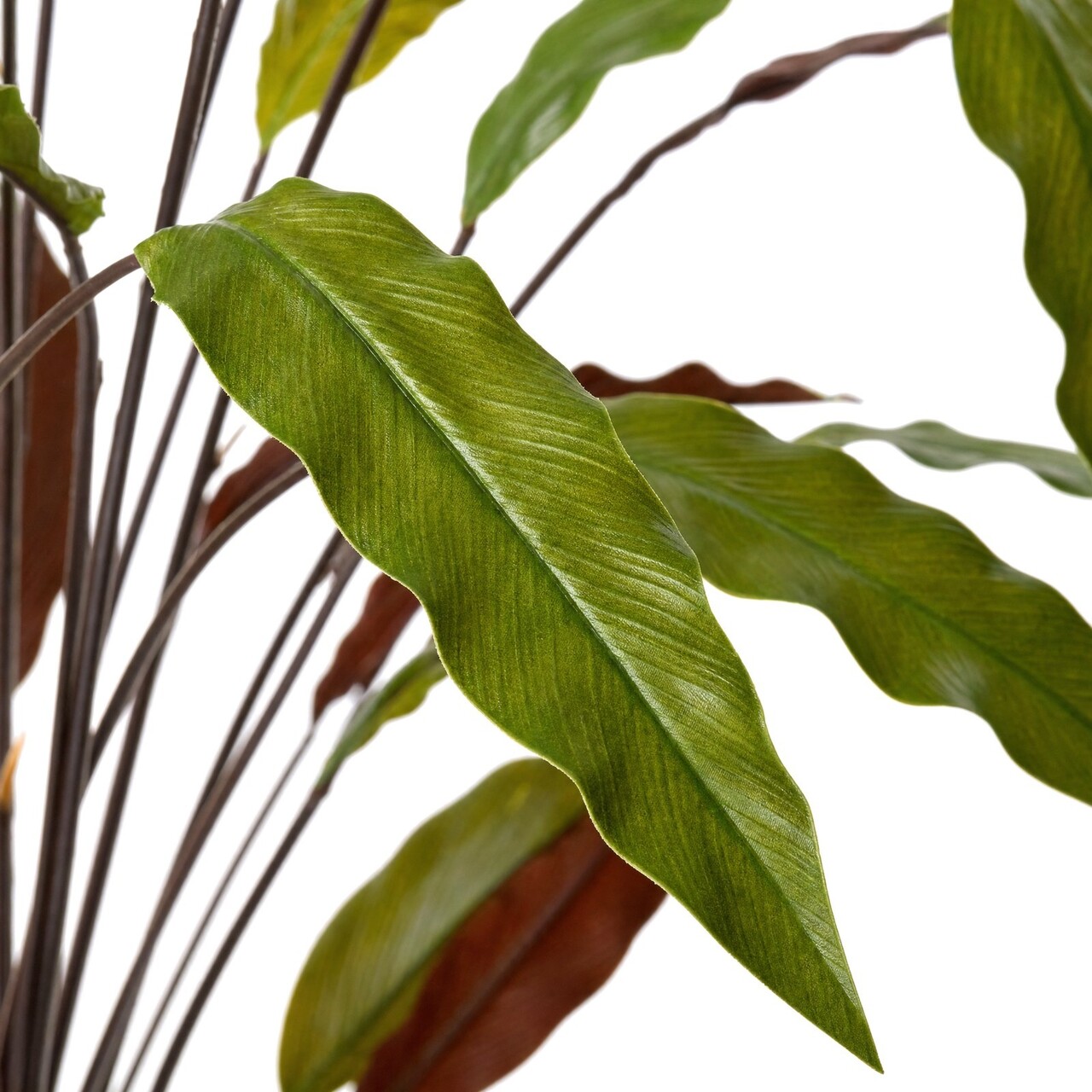 Calathea kunstboeket groen-rood 75 cm