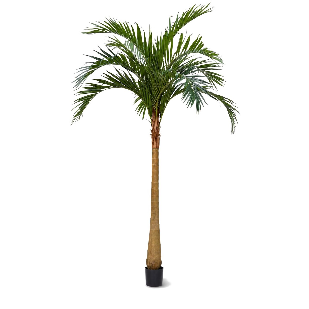 Majesty kunstpalm 500 cm