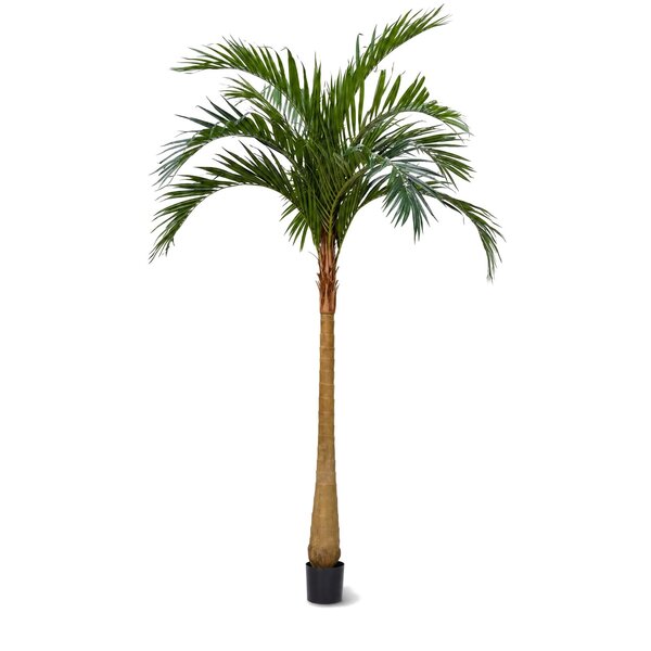 Coolplant Majesty Kunstpalme 500 cm