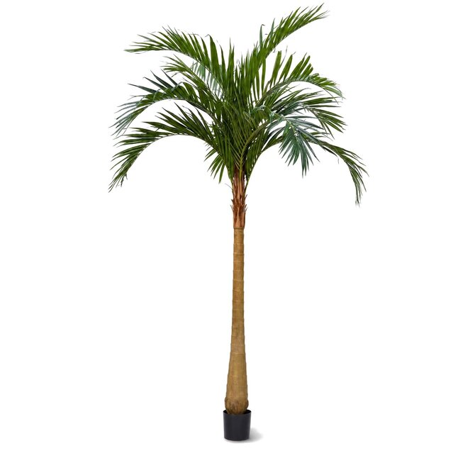 Coolplant Majesty kunstpalm 500 cm
