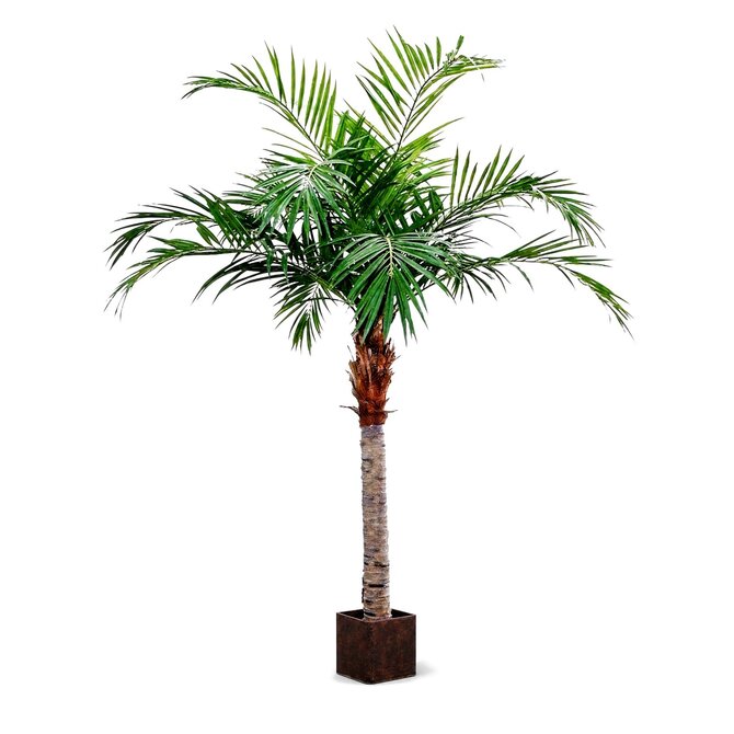 Coolplant Majesty kunstpalm 350 cm