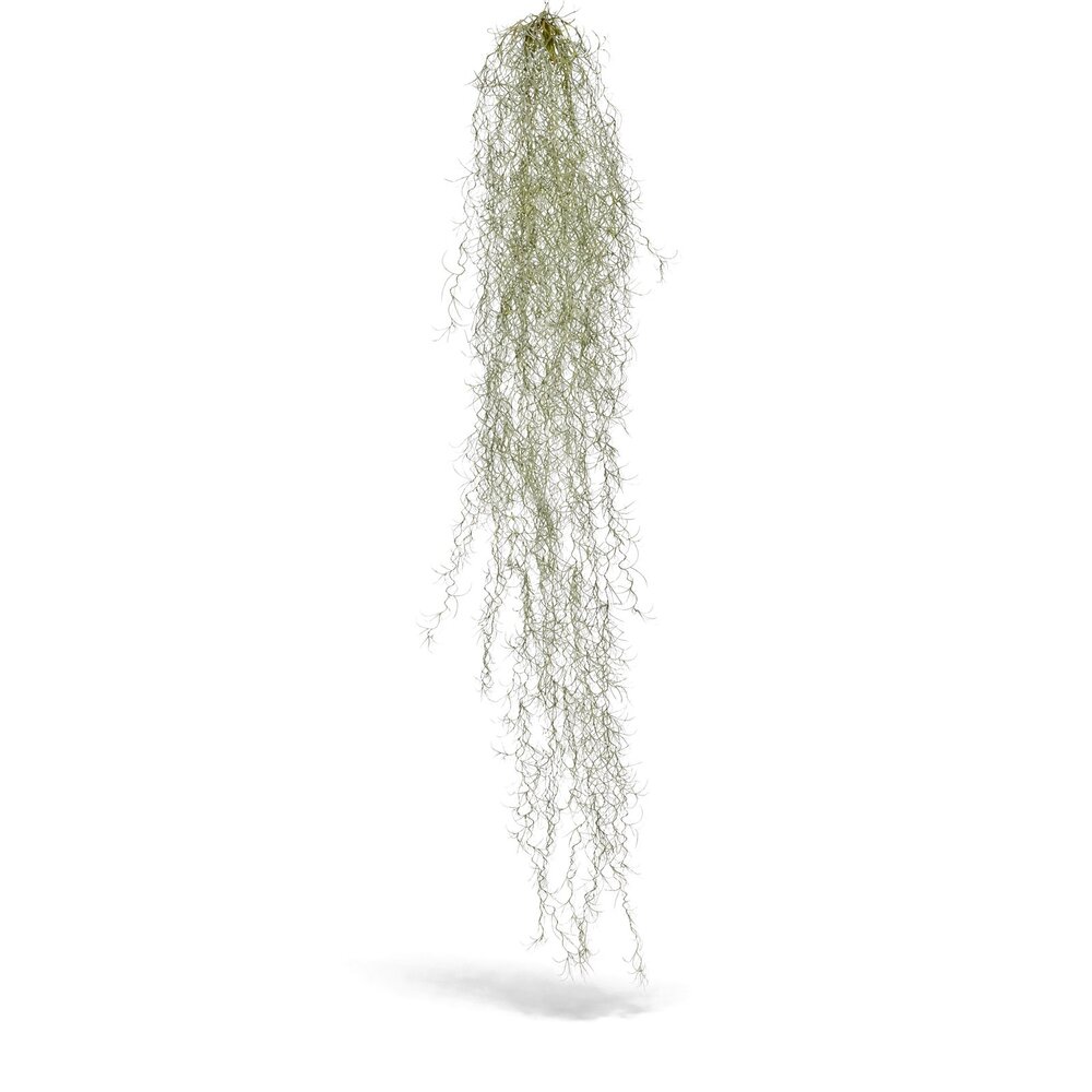 Coolplant Tillandsia kunsthangplant deluxe 120 cm