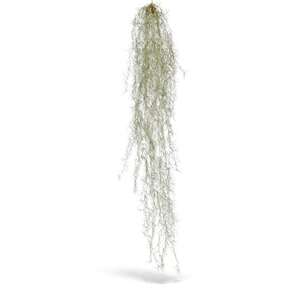 Coolplant Tillandsia kunsthangplant deluxe 120 cm