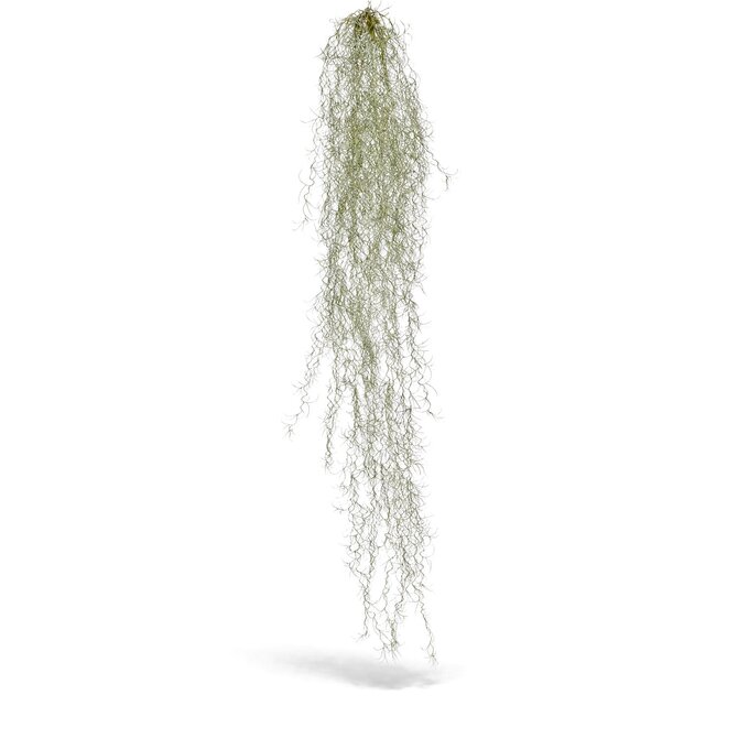 Coolplant Tillandsia kunsthangplant deluxe 120 cm