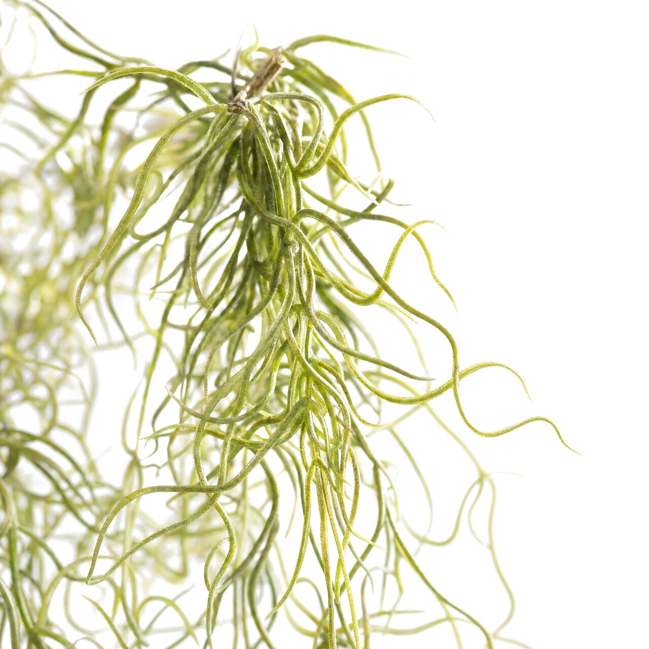 Tillandsia kunsthangplant deluxe 120 cm