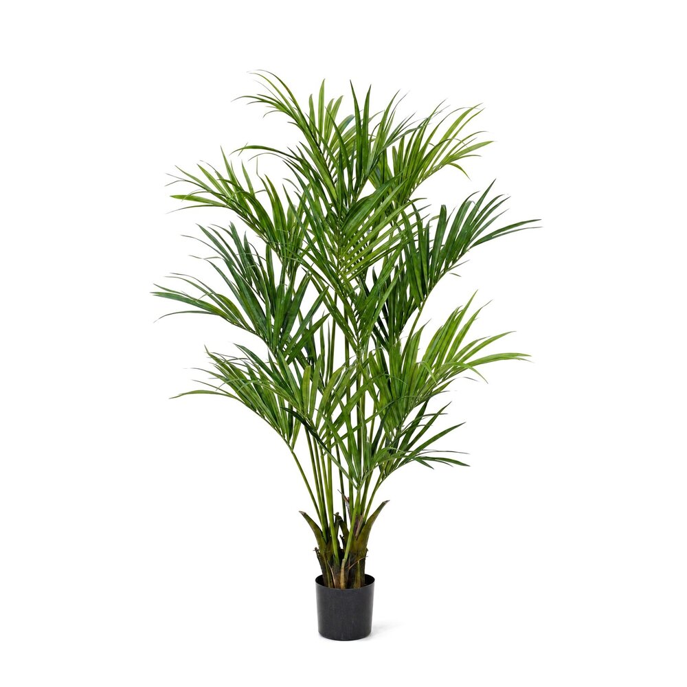 Coolplant Kentia kunstpalm deluxe 190 cm