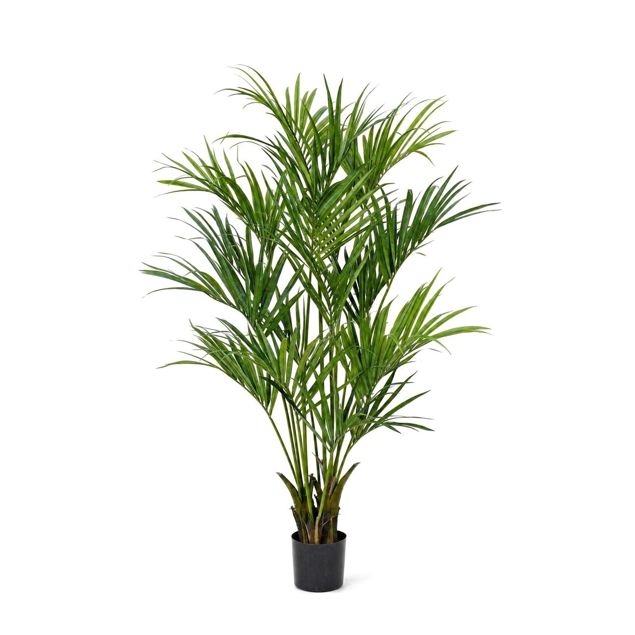 Kentia kunstpalm deluxe 190 cm