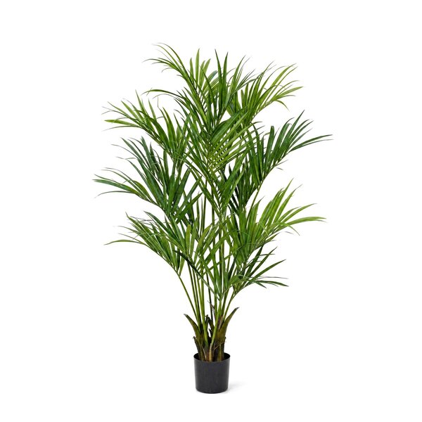 Coolplant Kentia kunstpalm deluxe 190 cm