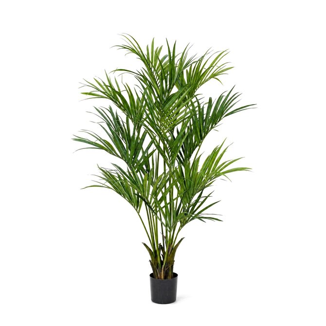 Coolplant Kentia kunstpalm deluxe 190 cm