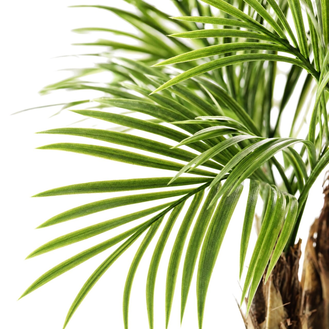 Areca kunstpalm deluxe 150 cm