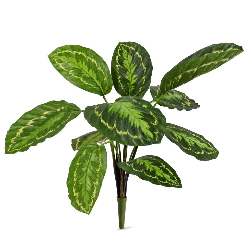 Coolplant Calathea Roseopicta kunstplant 50 cm