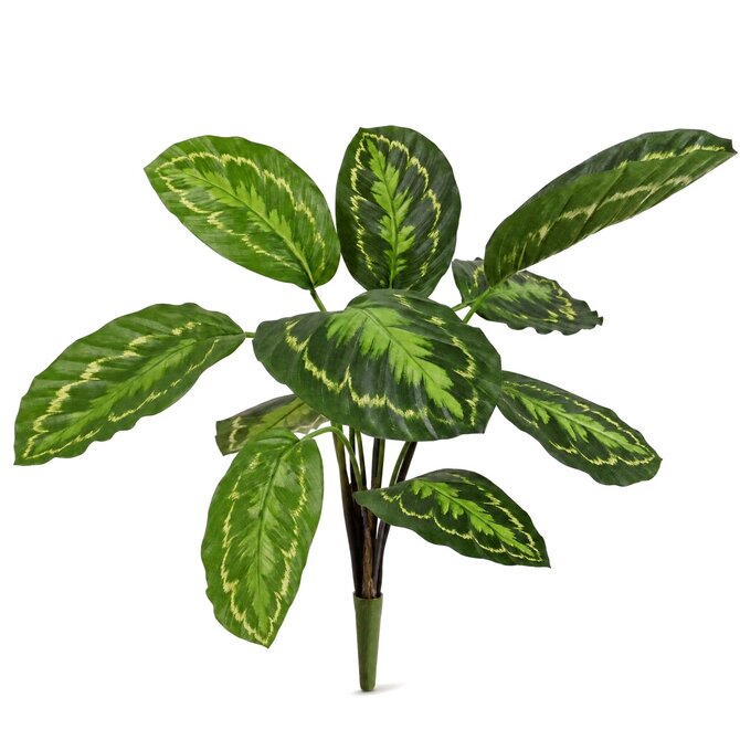Coolplant Calathea Roseopicta kunstplant 50 cm
