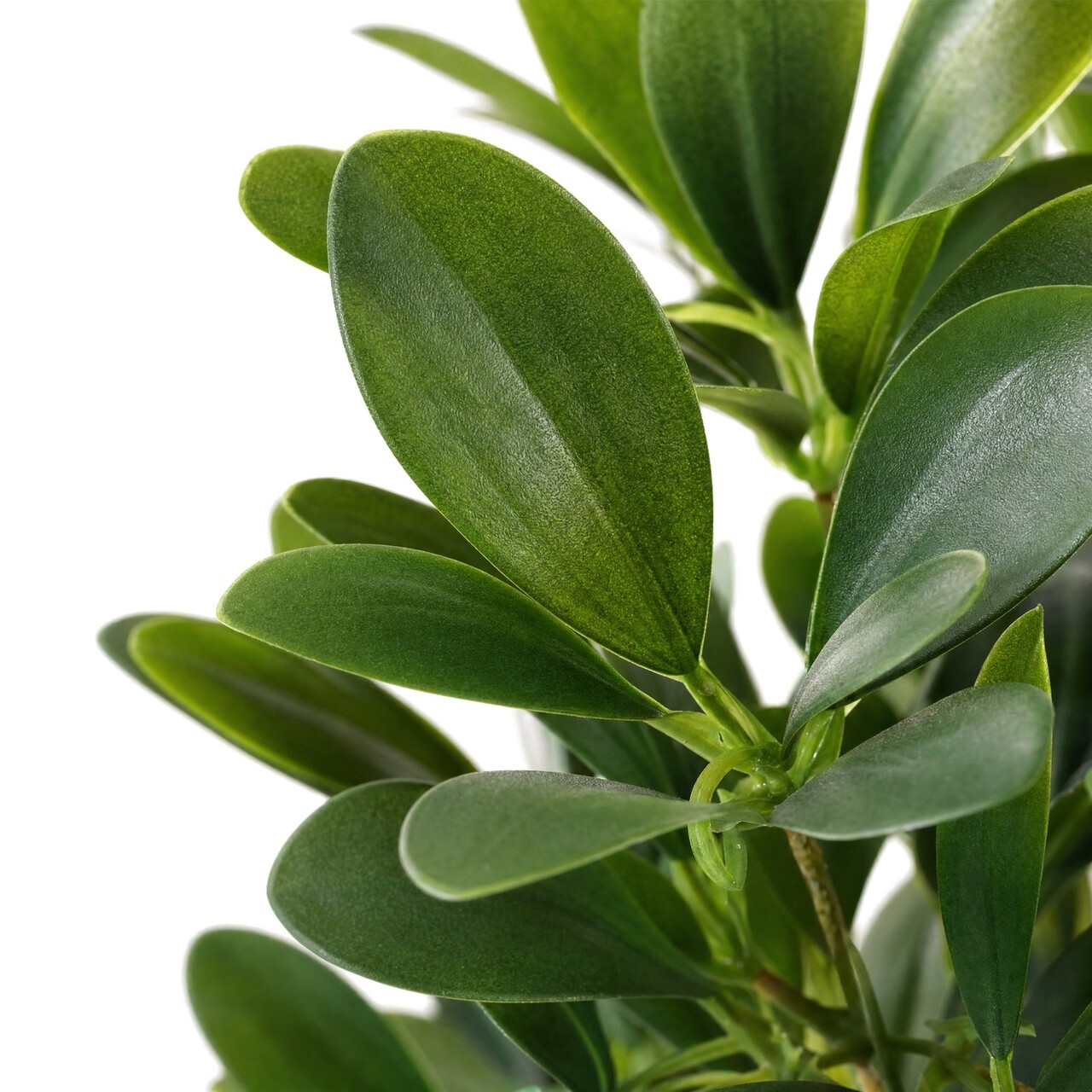 Schefflera kunstplant 50 cm