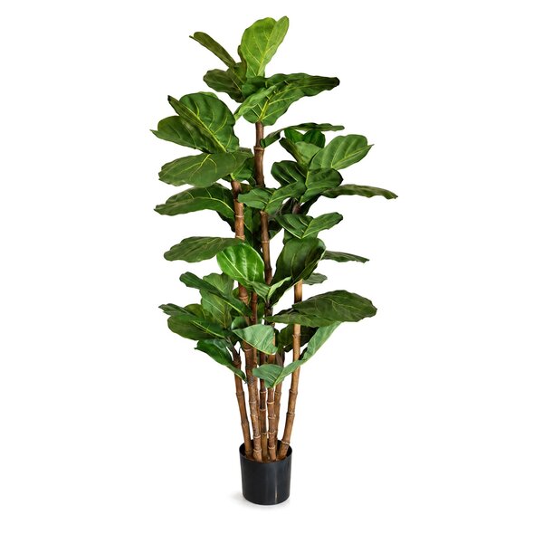 Coolplant Ficus Lyrata kunstplant deluxe 165 cm
