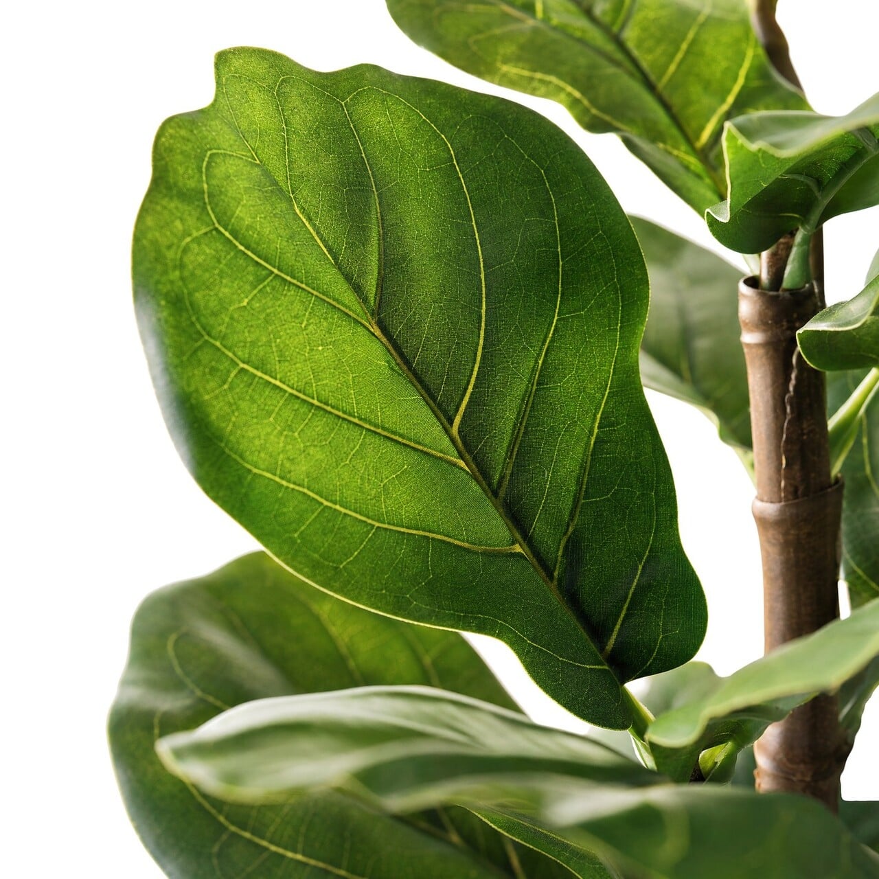 Ficus Lyrata kunstplant deluxe 165 cm