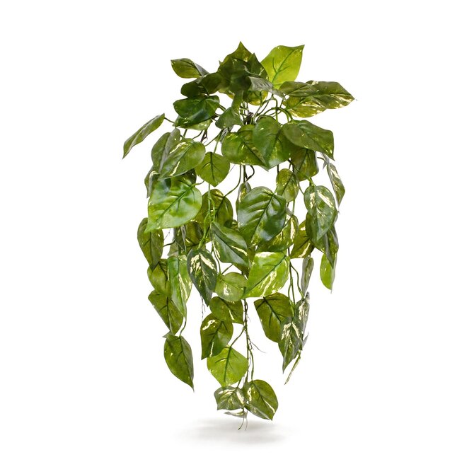 Coolplant Pothos Kunsthängepflanze bunt 70 cm