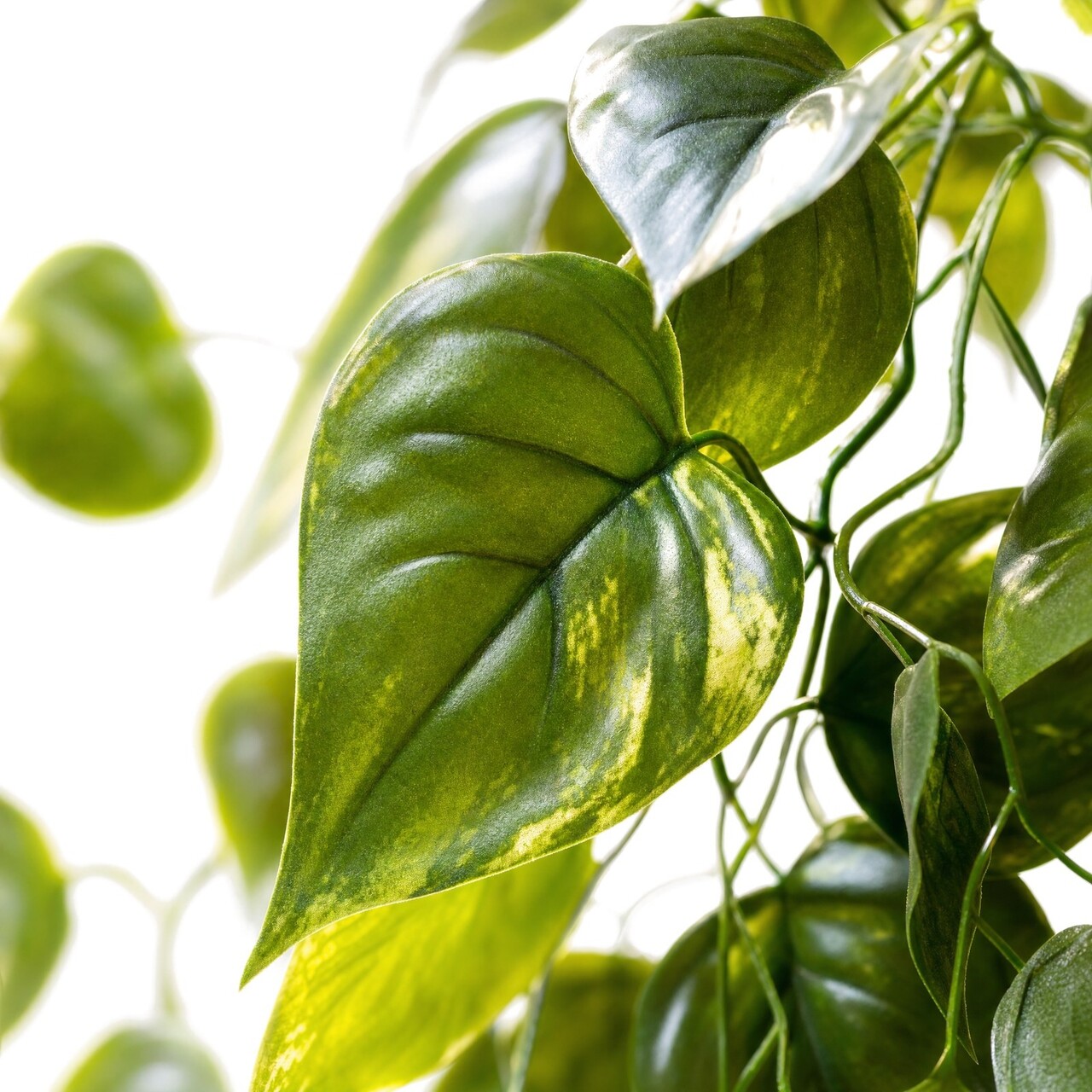 Pothos Kunsthängepflanze bunt 70 cm