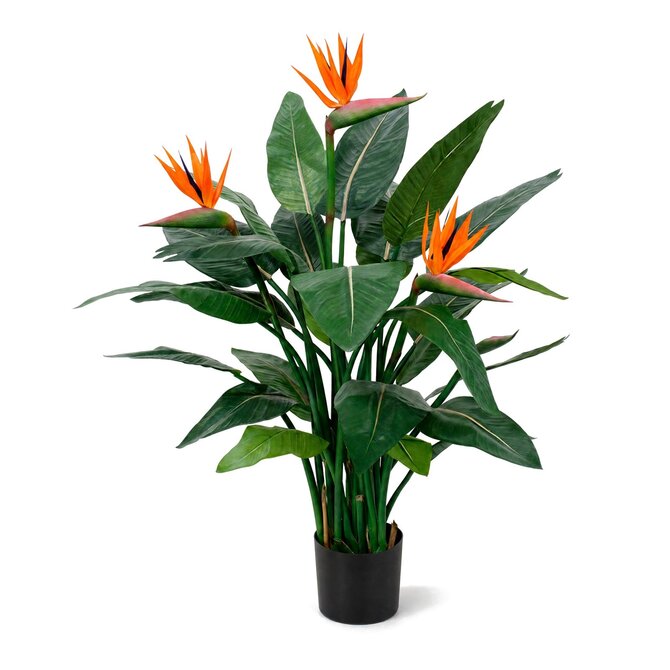 Coolplant Strelitzia kunstplant deluxe 115 cm