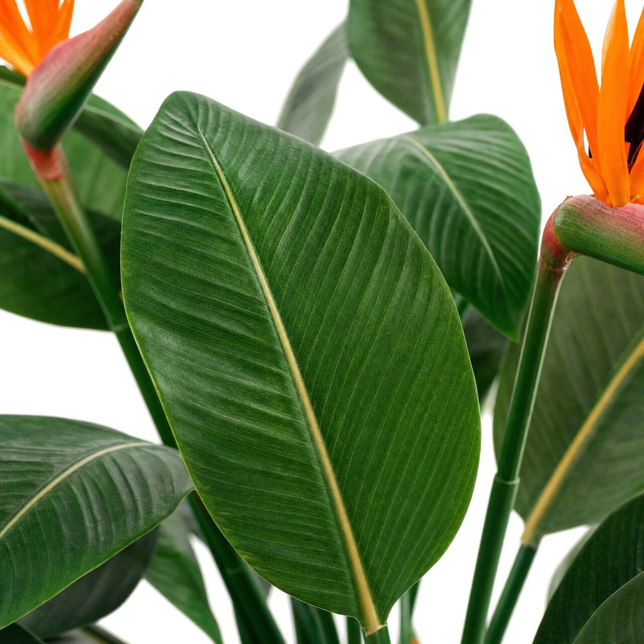 Strelitzia kunstplant deluxe 115 cm