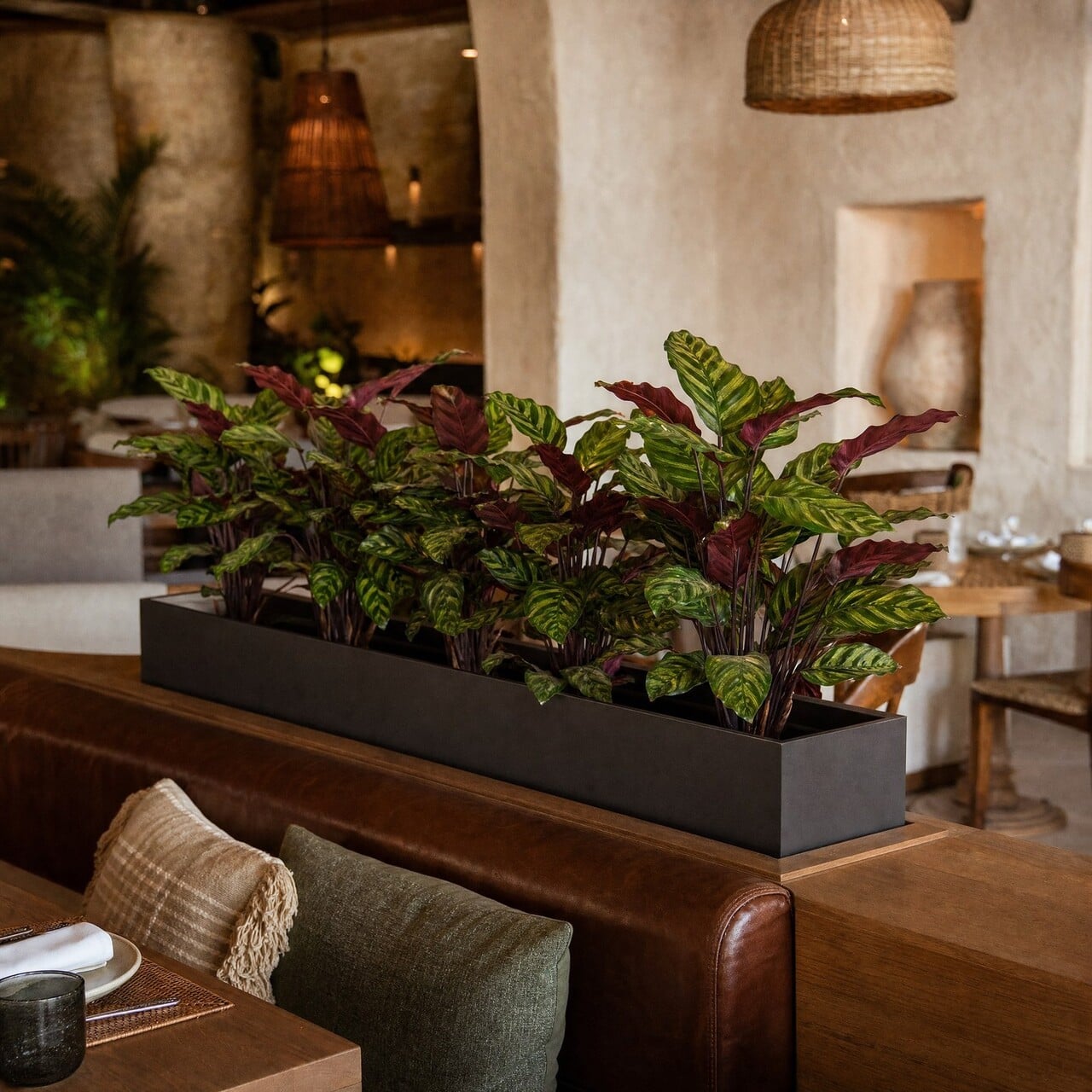 Calathea Makoyana kunstplant rood 60 cm