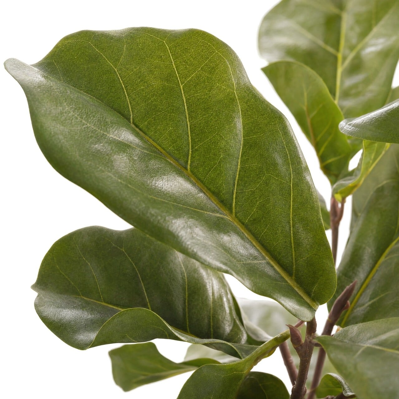 Ficus Lyrata kunstplant 45 cm