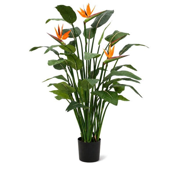 Coolplant Strelitzia kunstplant deluxe 145 cm