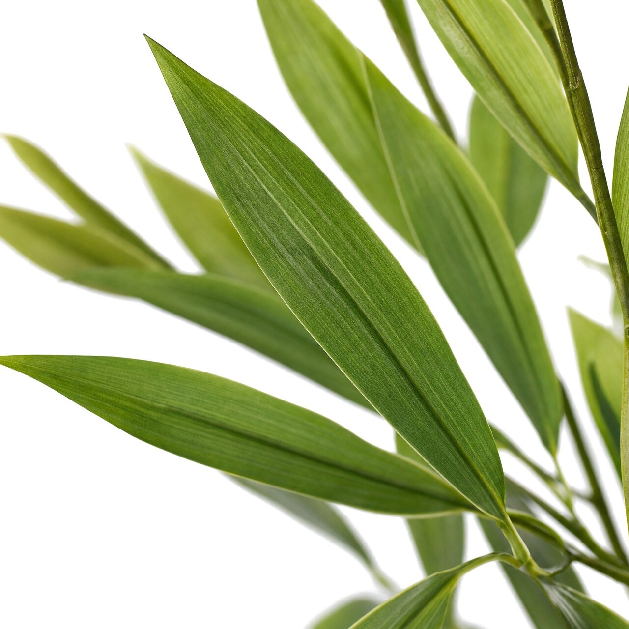 Parlour palm kunstboeket 65 cm
