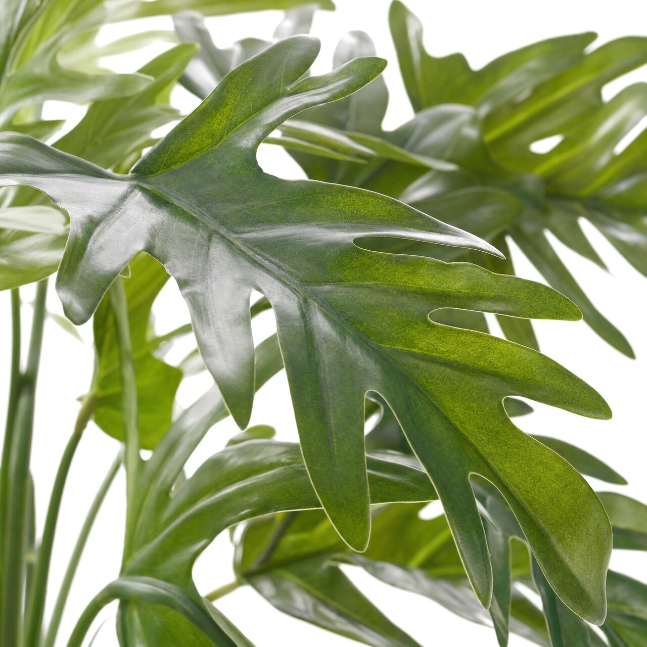 Philodendron Xanadu kunstplant 50 cm