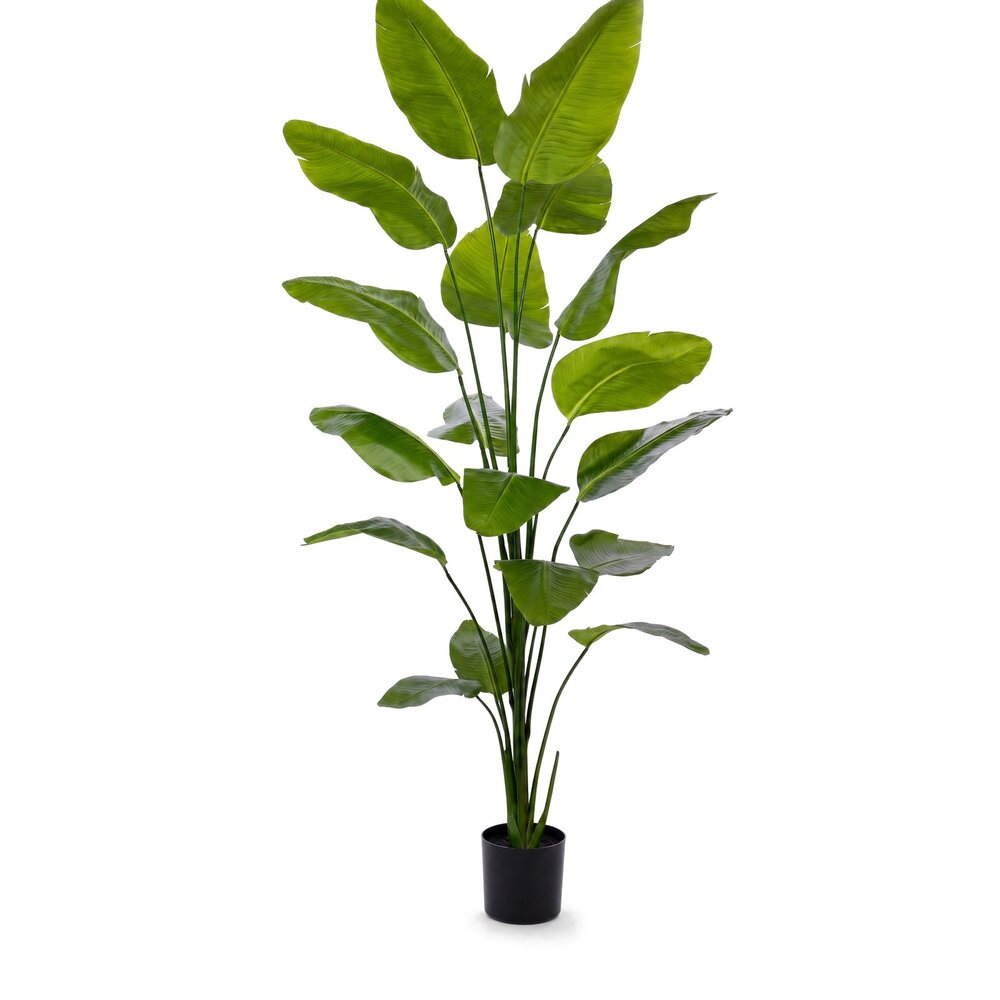 Coolplant Strelitzia Kunstpflanze 225 cm
