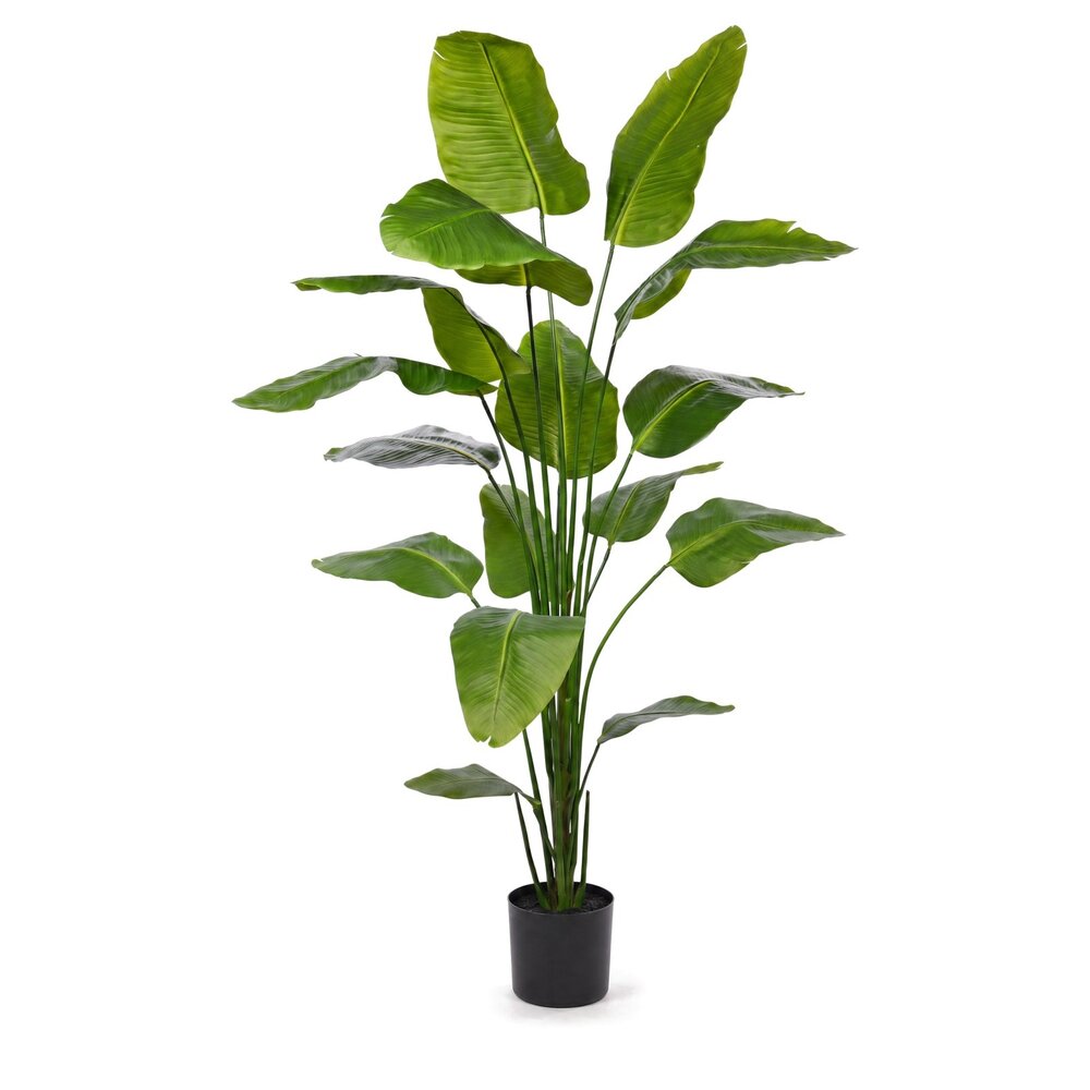 Coolplant Strelitzia Kunstpflanze 210 cm