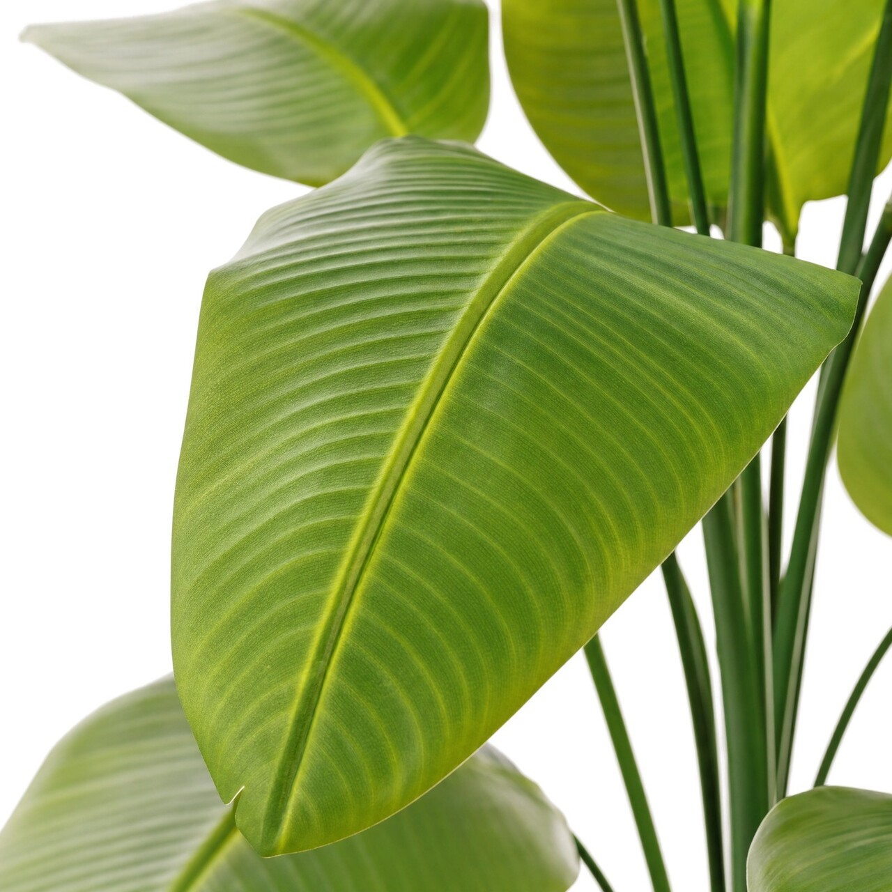 Strelitzia Kunstpflanze 210 cm