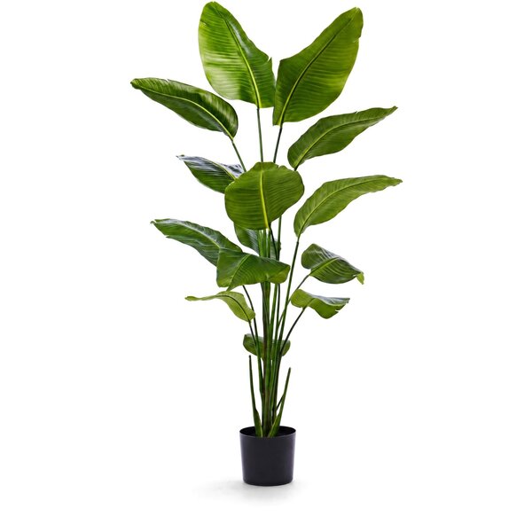 Coolplant Strelitzia kunstplant 175 cm