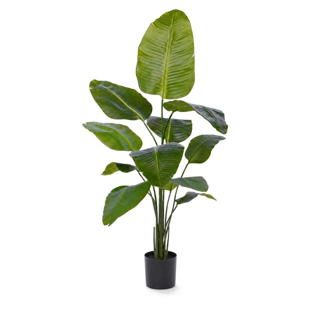 Coolplant Strelitzia Kunstpflanze 155 cm