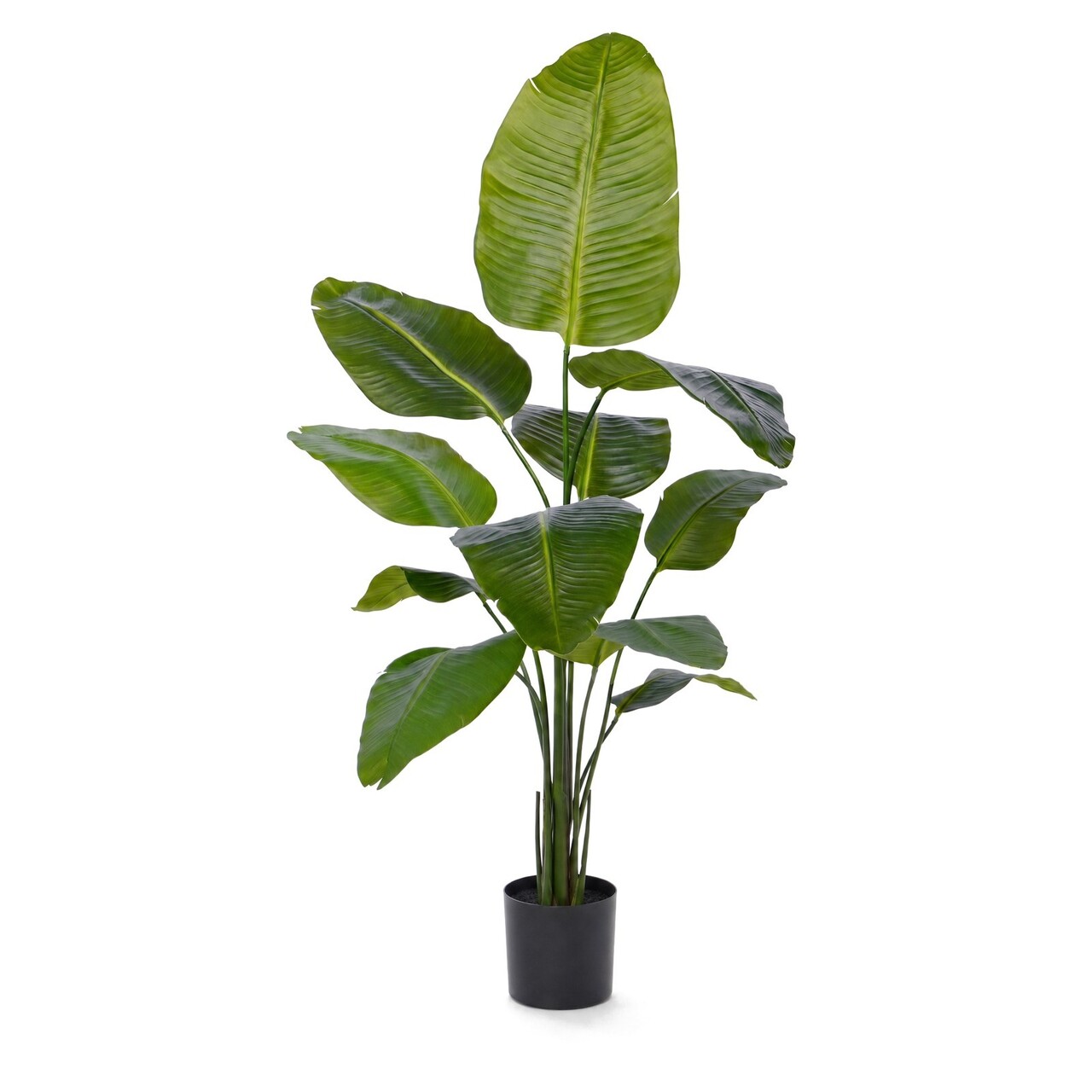 Strelitzia kunstplant 155 cm