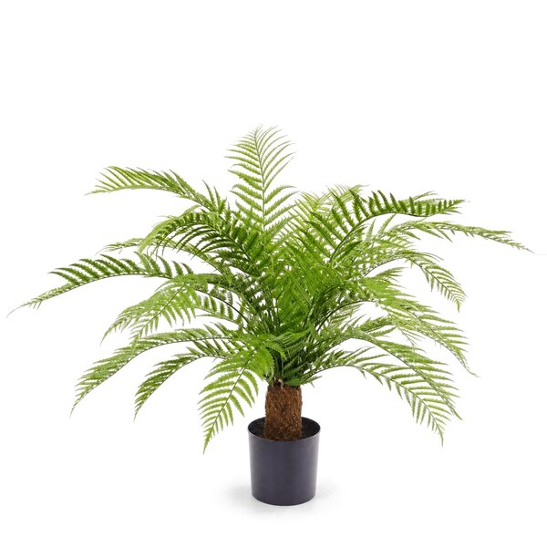 Coolplant Alsophila varen kunstplant XXL 85 cm