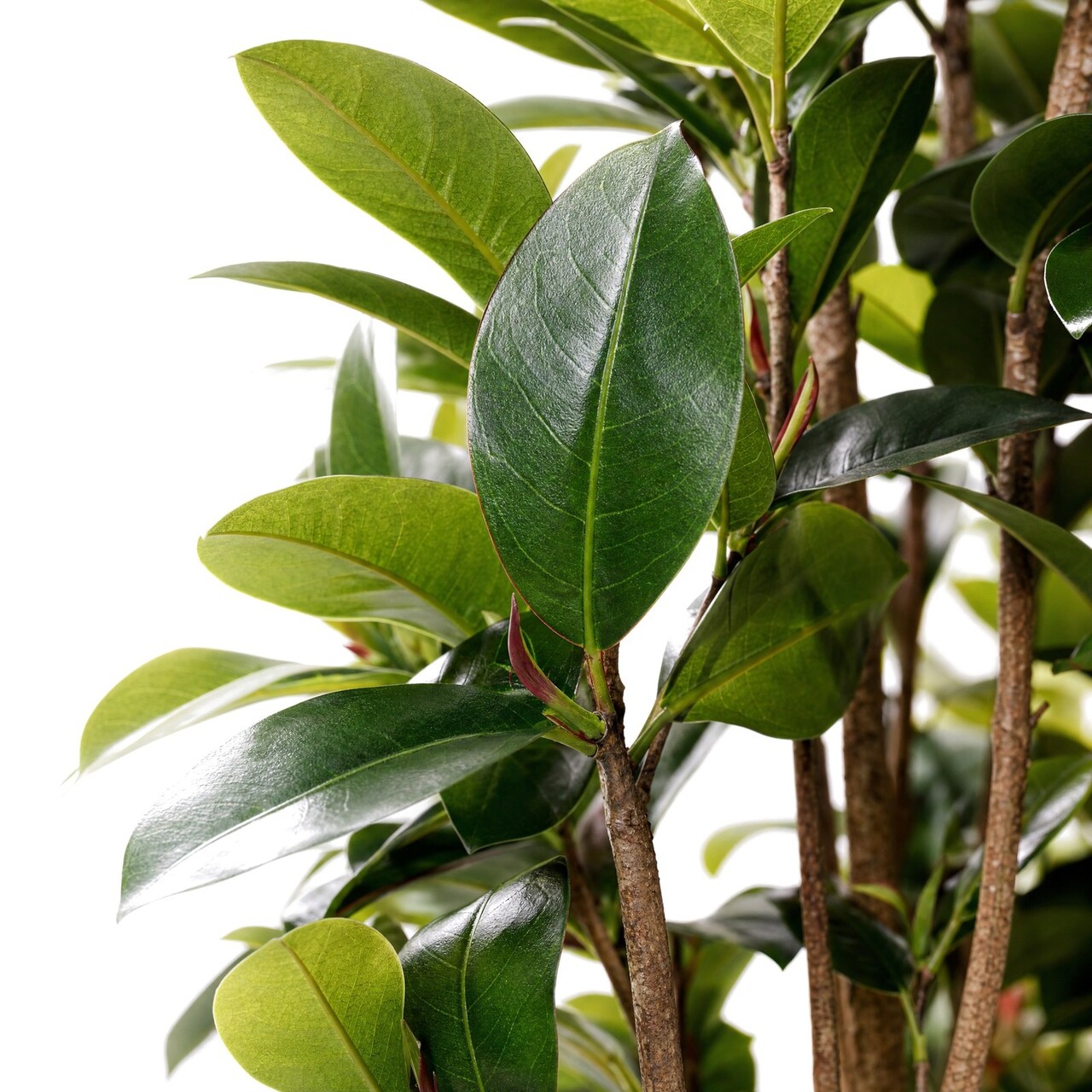 Philodendron kolom kunstplant 155 cm