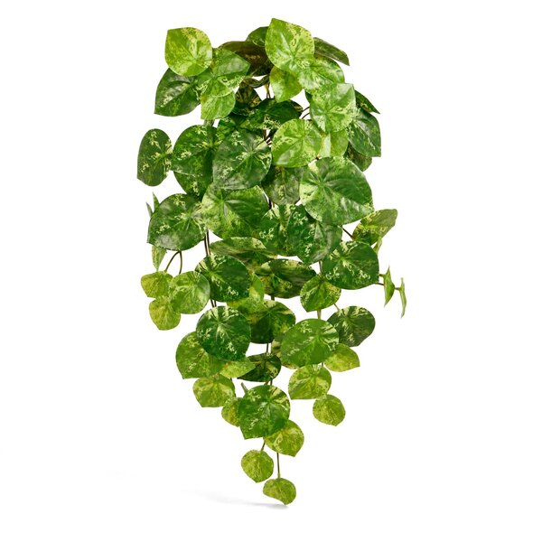 Coolplant Pilea kunsthangplant bont 60 cm
